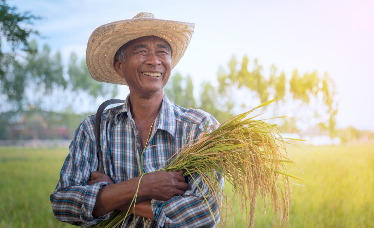 1. Bertani atau Bercocok Tanam