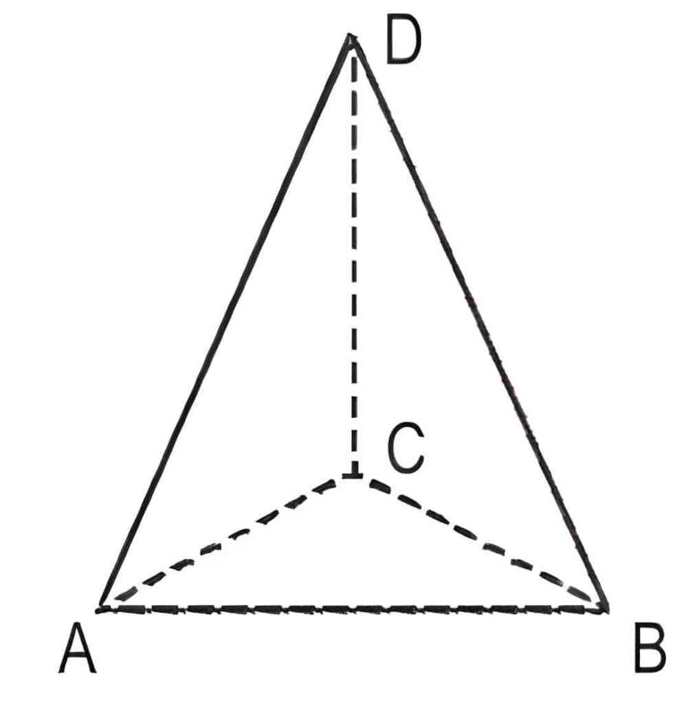 limas segitiga