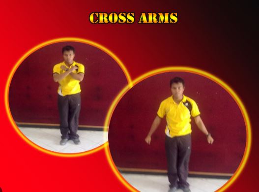 Cross arm