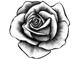 Memberikan Gelap Terang Bunga Mawar