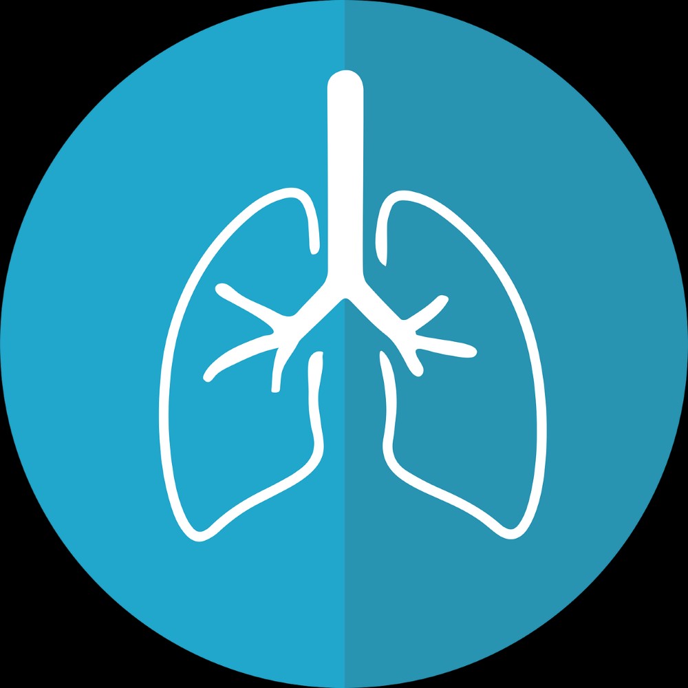 Anatomi Paru-paru: Fungsi, Cara Kerja, dan Gangguannya