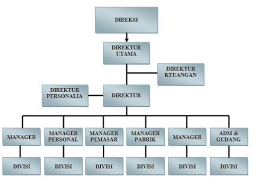 Bagan Organisasi: Pengertian, Jenis, Fungsi dan Cara Merancang