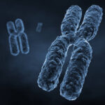 Mutasi Kromosom: Pengertian, Penyebab dan Jenisnya - Biologi SMA