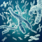 Kromosom Homolog: Pengertian, Fungi, Ciri-Ciri, dan Contohnya