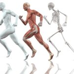 Anatomi Kaki: Fungsi, Struktur, Gangguan, dan Penanganan Dini