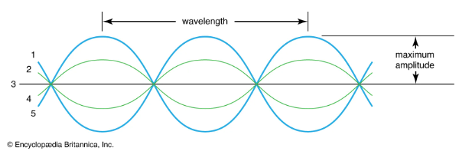 Gelombang transversal