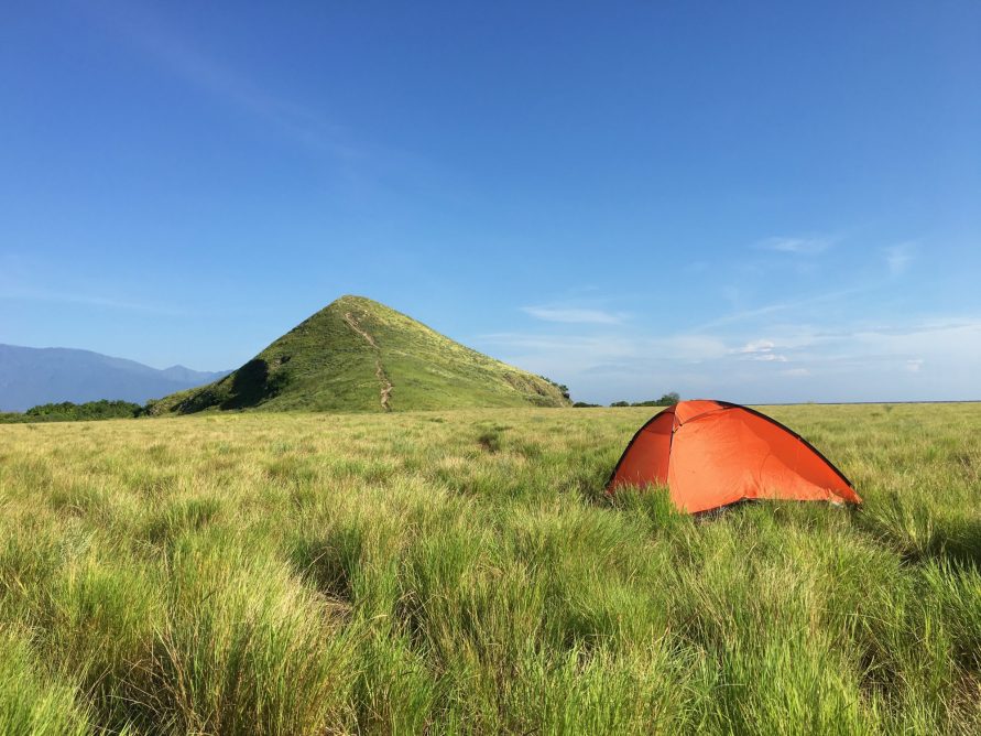 Hutan Sabana