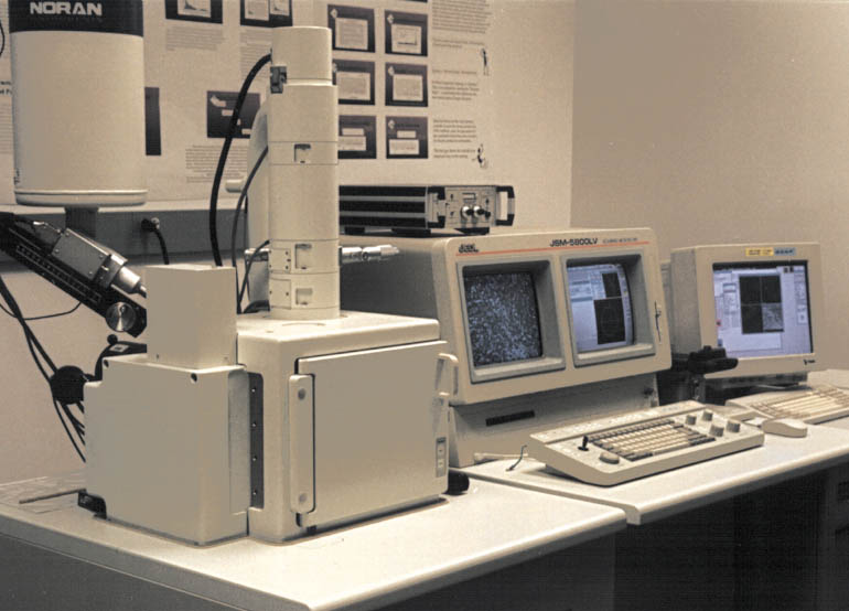 Scanning Electron Microscope