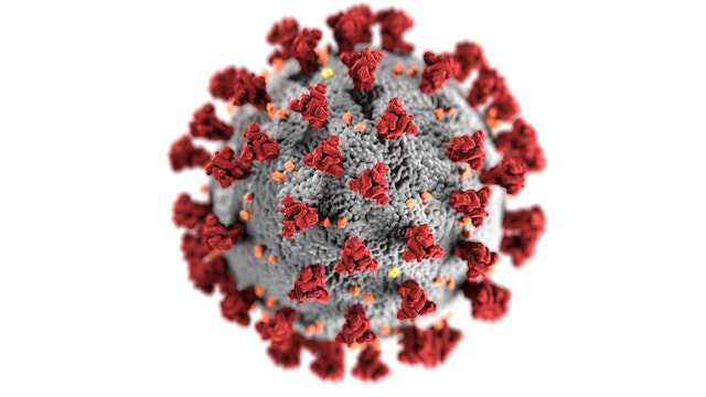 Memahami Apa Itu Virus Beserta Ciri-Ciri, Struktur, dan Jenisnya