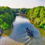 Fungsi Hutan Mangrove: Pengertian, Ciri-Ciri, dan Manfaatnya