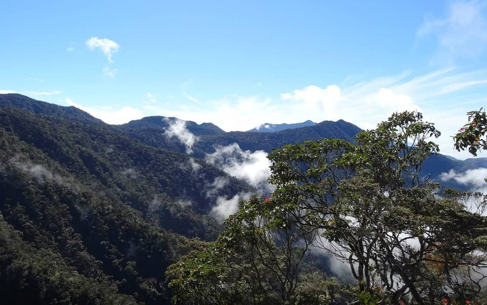 Gunung Bandahara