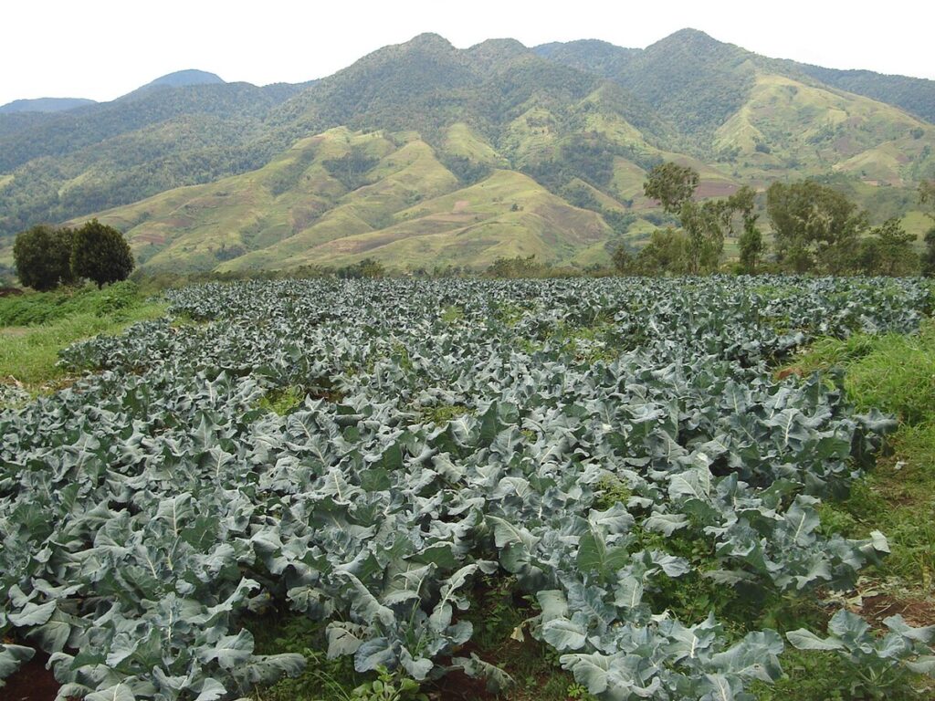 Gunung Catatungan Kalatungan