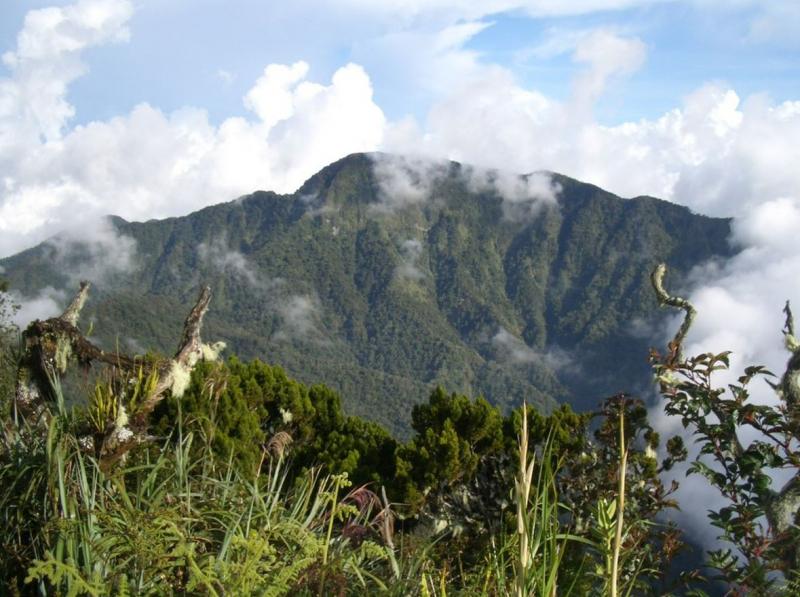 Gunung Dulang Dulang