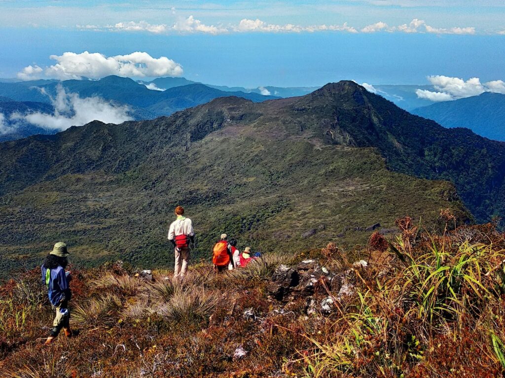 Gunung Leuser