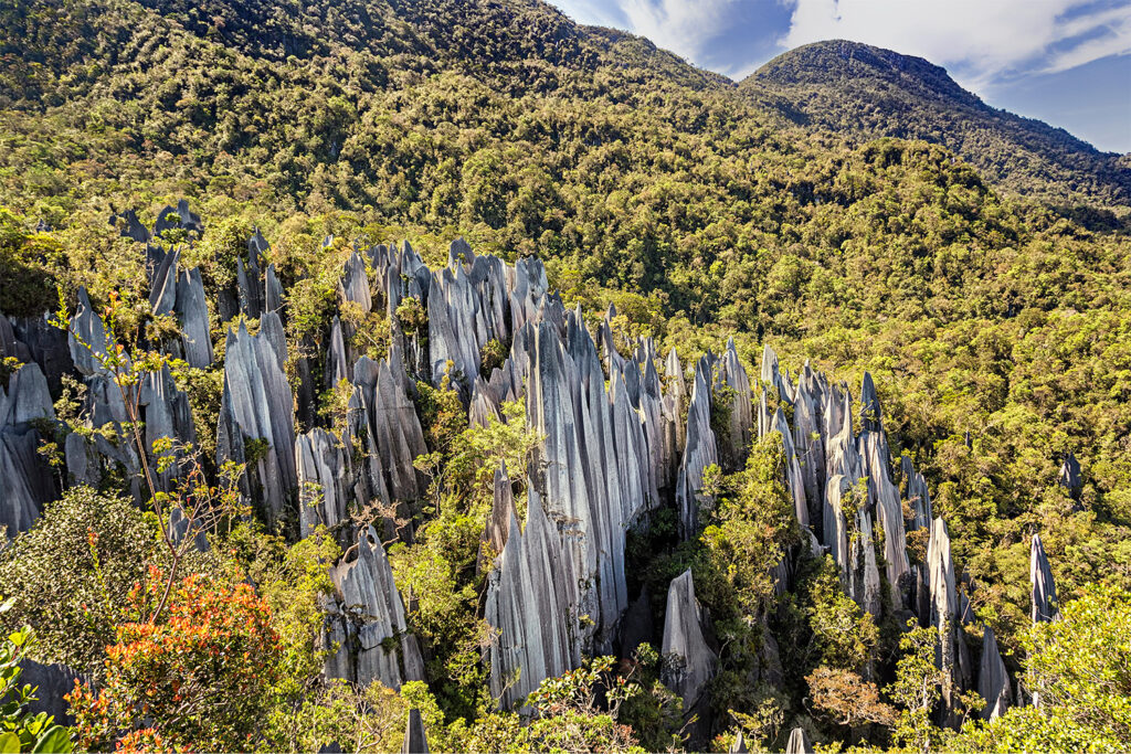 Gunung Mulu