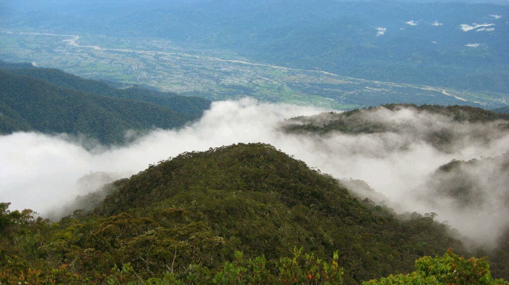 Gunung Perkison