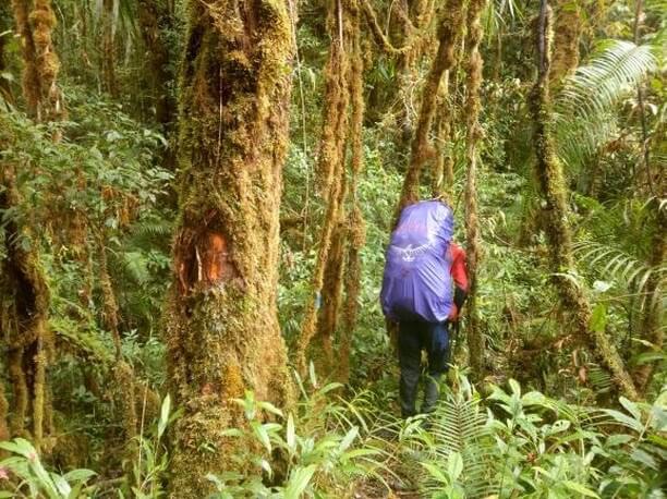 Gunung Tolangi Balease