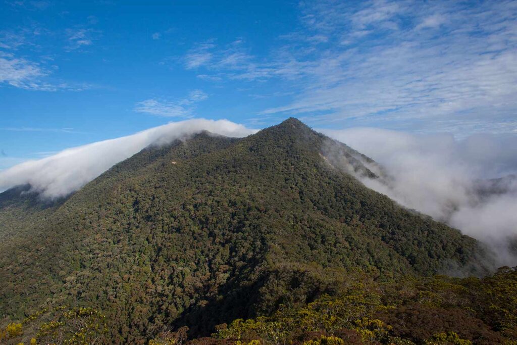 Gunung Trusmadi