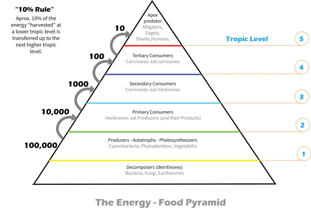 Piramida Energi