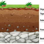 Lapisan Tanah: Pengertian, Jenis, Struktur, dan Komponennya