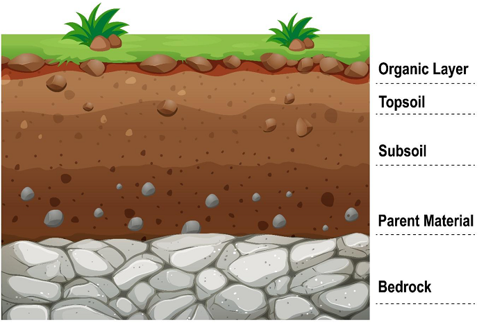 Lapisan Tanah: Pengertian, Jenis, Struktur, dan Komponennya