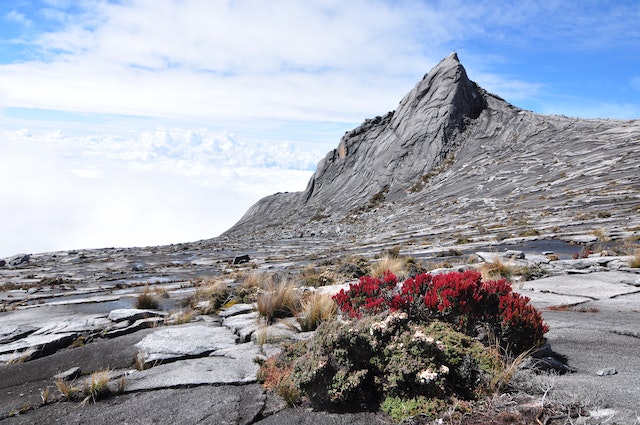 Yuk, Intip Daftar 9 Urutan Gunung Tertinggi di Malaysia