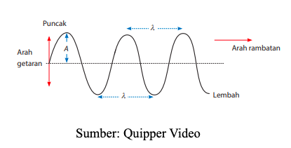 quipper transversal