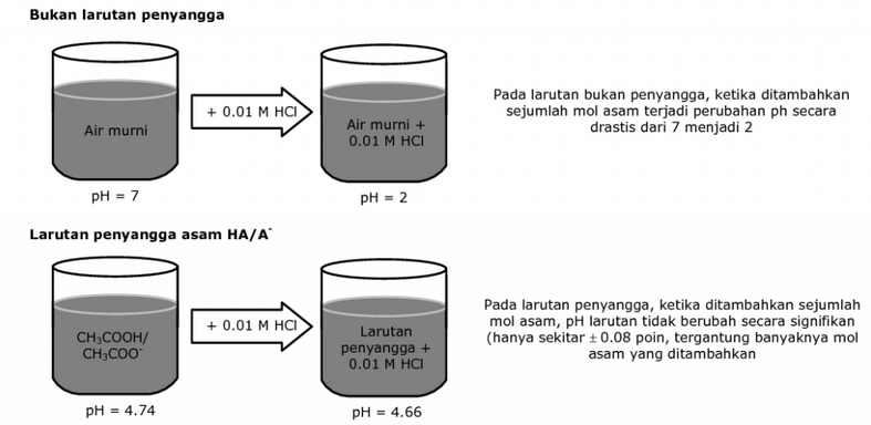 Prinsip Kerja Larutan Buffer