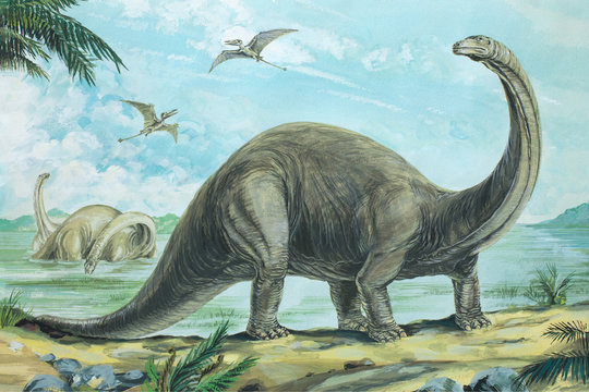 13. Brontosaurus