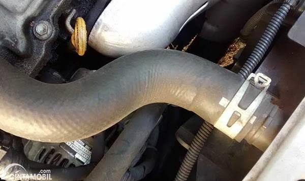 Hose Radiator