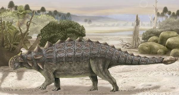 6. Ankylosaurus