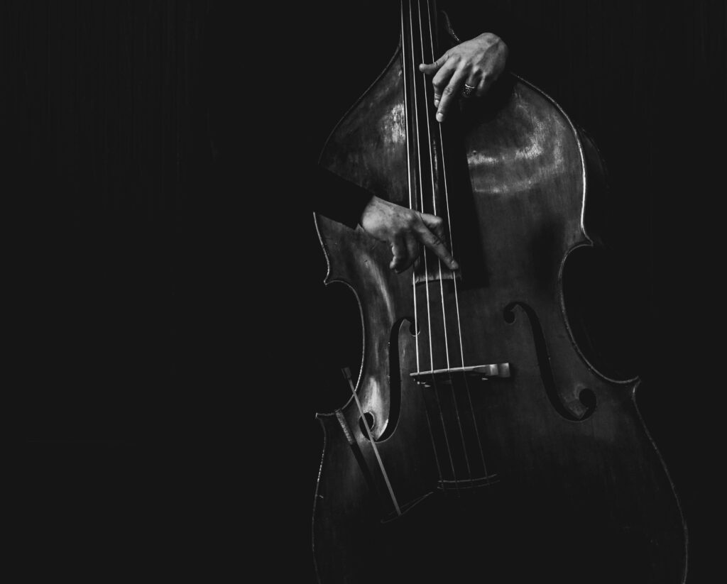 Contrabass 