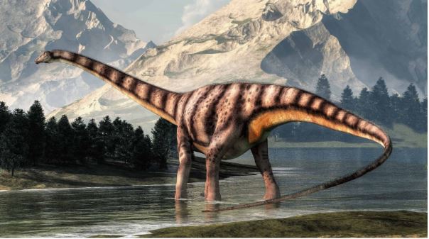 7. Diplodocus