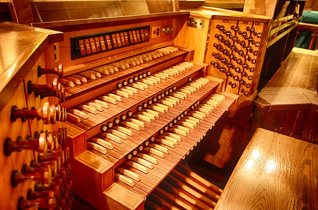 Contoh organ 