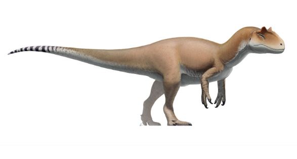 8. Allosaurus