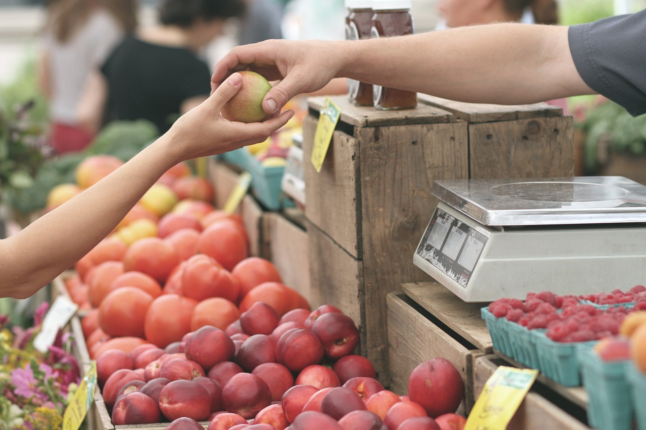 Segmentasi Pasar: Pengertian, Tujuan, Jenis, Manfaat, dan Contoh