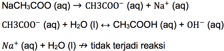 Hidrolisis Garam Parsial