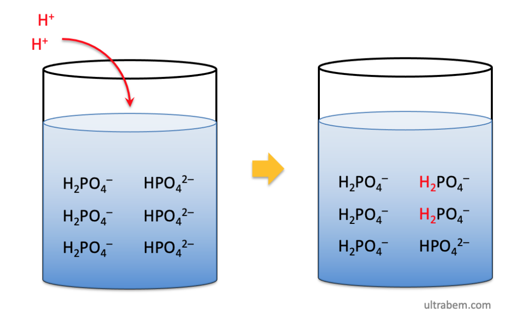 How buffer solutions work acid