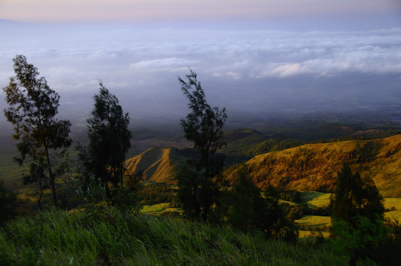 Lereng Gunung Arjuno