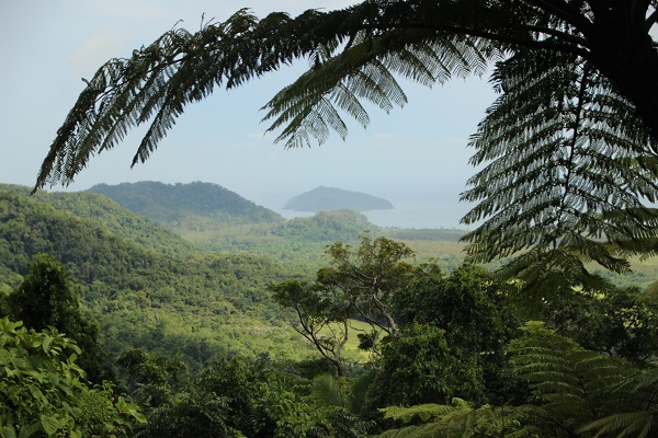 Negara Lumbung Padi