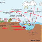 Siklus Nitrogen: Pengertian, Manfaat, Proses, dan Contohnya