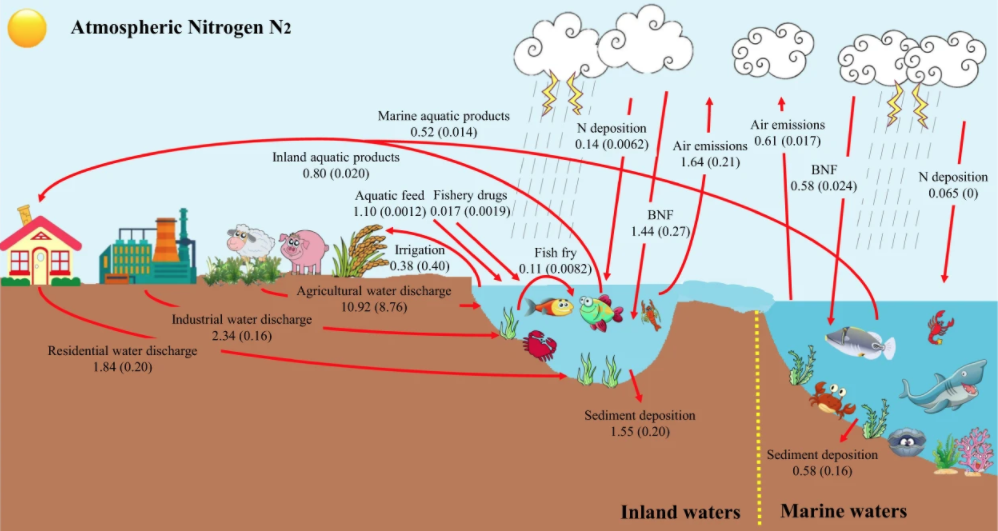 Siklus Nitrogen: Pengertian, Manfaat, Proses, dan Contohnya