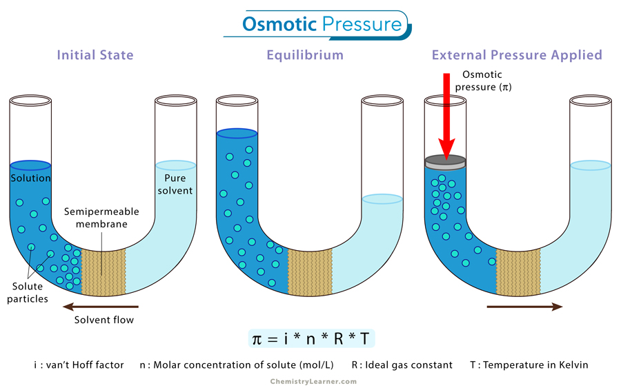 Osmotic Pressure