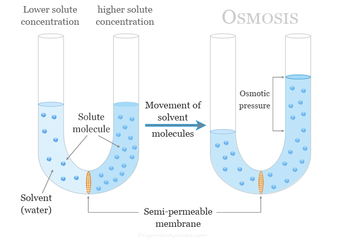 Osmotic Pressure