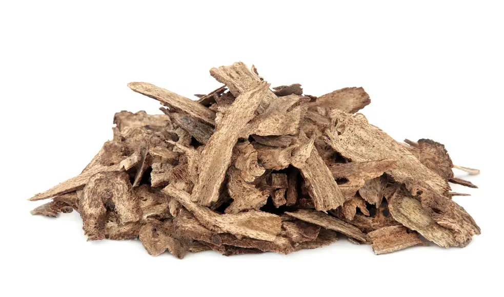 Qusthul Hindi Pengertian, Manfaat, Khasiat, & Efek Samping