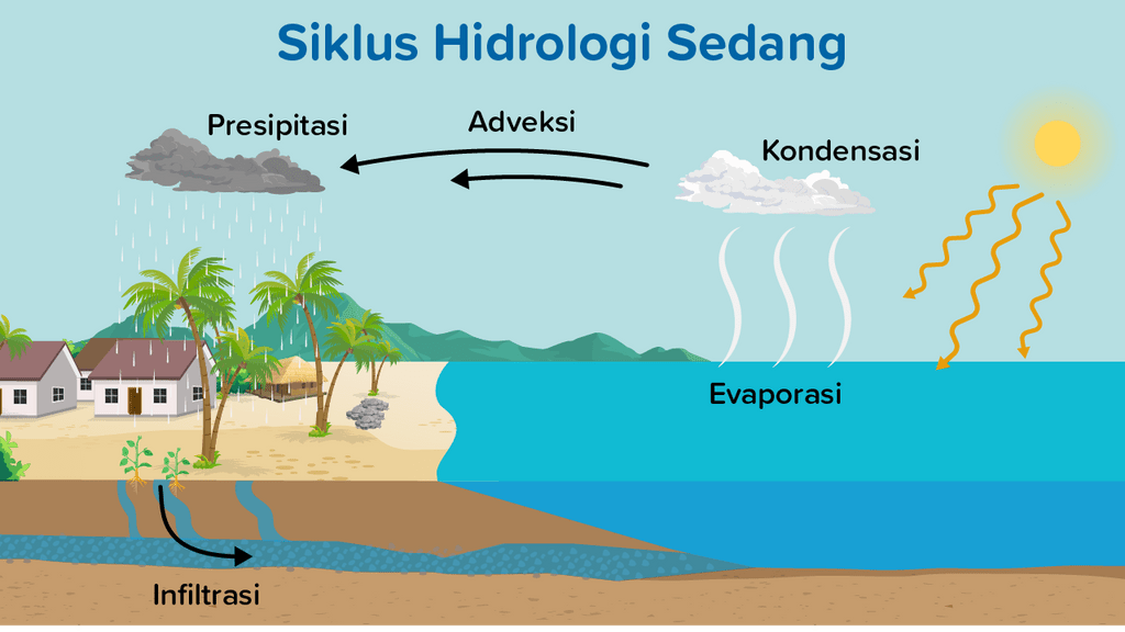 Siklus Sedang