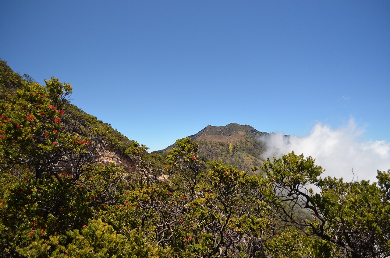 7 Gunung Tertinggi di Jawa, Mempesona Seven Summit of Java