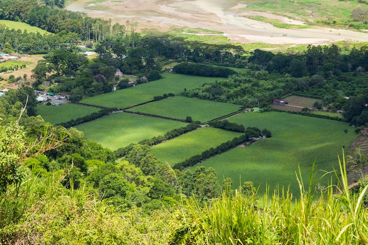 Fungsi Hukum Agraria