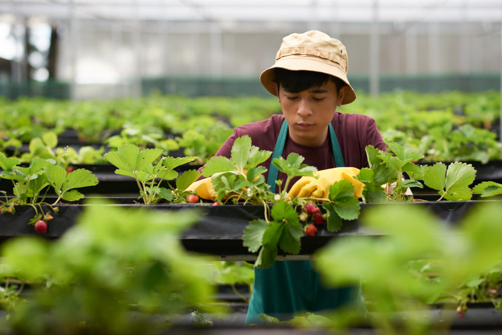 Kuliah Jurusan Agribisnis