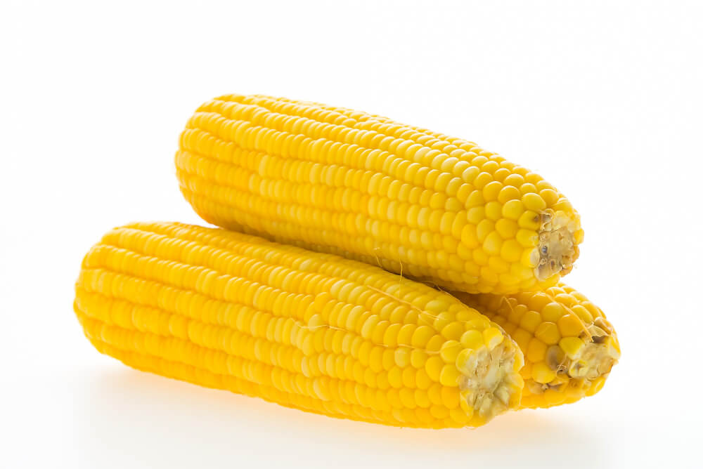 corn isolated